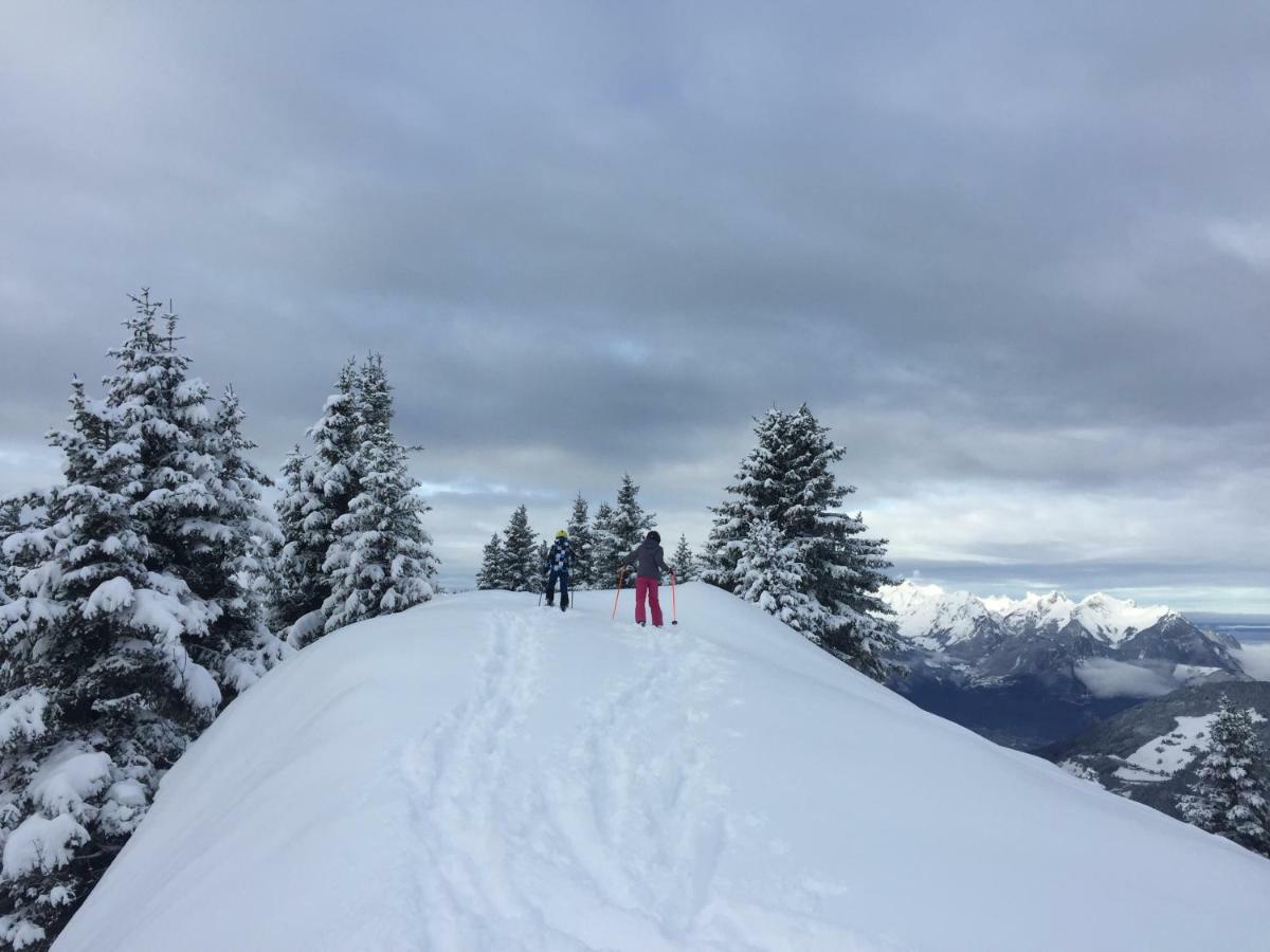 Chalet Rouge Coeur Bex Eksteriør billede